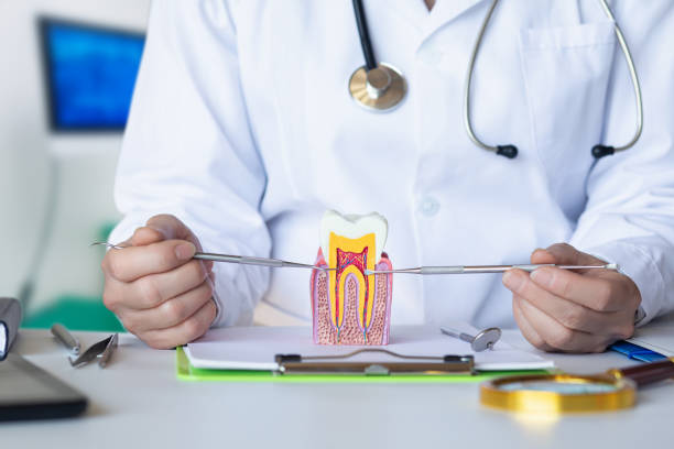 Best Orthodontic Emergency Dentist in Taylor, PA